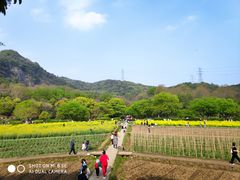 -八卦田遗址公园