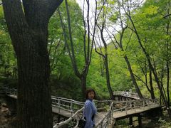 -香炉山国家森林公园