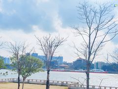 -洲头咀公园