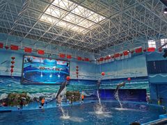 -多彩贵州城极地海洋世界