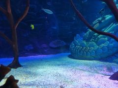 -沈阳海洋探索中心