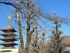 -浅草寺