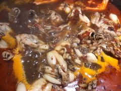 -老天桥蛙炉火锅(姑苏总店)
