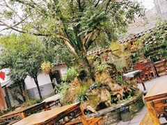 -青城甲(青城山店)