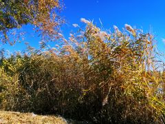 -延庆地质公园博物馆