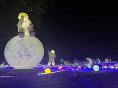 -广西壮族自治区药用植物园