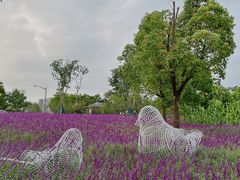 -上海山野camping·户外天幕烧烤·团建拓展营地