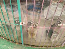 -萌宠亲子动物乐园(槐房万达店)