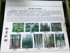-终南山古楼观历史文化景区