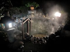 -明月山天沐温泉度假村