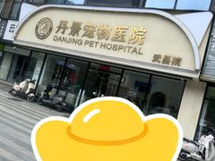 -丹景宠物医院·全科·老年病·牙科(武昌诊疗中心)