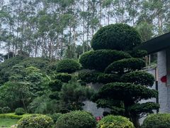 -南宁荔园维景国际酒店·荔园中餐厅