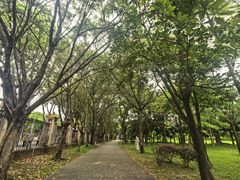 -福神岗公园