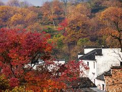 -塔川景区