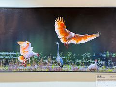 -西藏饭店·亚克·食光自助餐厅