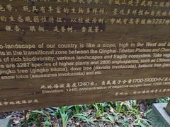 -青城山
