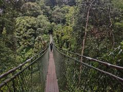 -云南屏边大围山国家公园