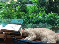 -咖法森林·咖啡  酒吧(天河店)