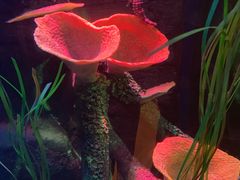 -沈阳海洋探索中心