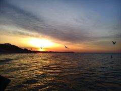 -老虎石海上公园