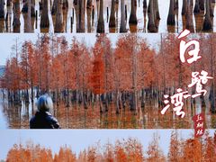 -白鹭湾湿地公园