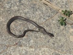 -天津东丽湖风景区