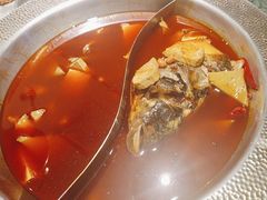 -麻田会 ·鲜活现烹·牛蛙火锅(珠江新城维家思广场店)