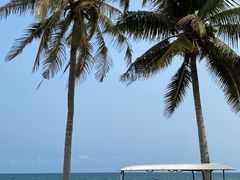 -海南清水湾莱佛士酒店