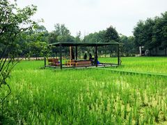 -洪湖家庭农场·团建·露营·会议