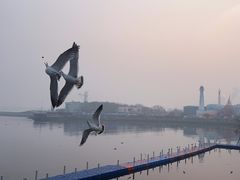 -大连圣亚海洋世界