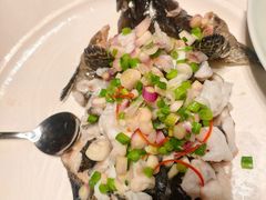 -新兴·金羊座·粤菜点心(乐峰店)