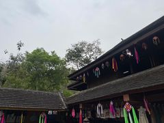 -西双版纳原始森林公园