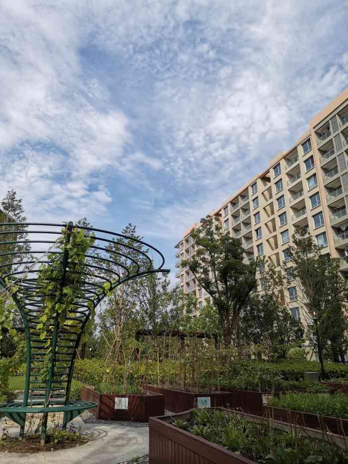 梧桐人家中国太平国际健康颐养社区-"没睡醒的时候,来点甜食吧,马上唤