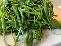 凉拌龙须菜-南来顺饭庄·清真(南菜园店)
