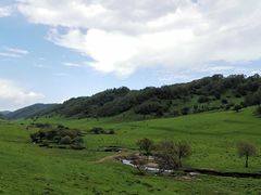 -关山牧场王师烤全羊