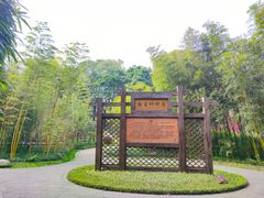 -望江楼公园