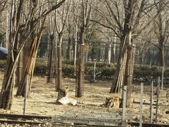 -秦皇岛野生动物园