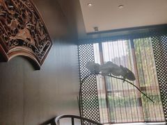 -深圳隐秀山居酒店