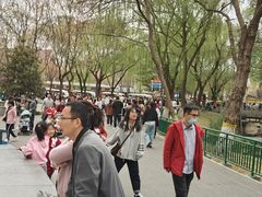 -石家庄市动物园