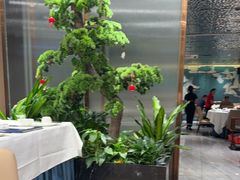 -顺德佬华侨城店·商务宴请·团建
