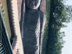 -三水森林公园