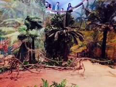 -自贡恐龙博物馆