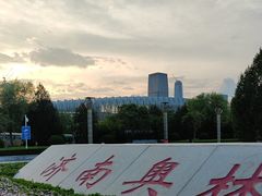 -济南奥林匹克体育中心体育场