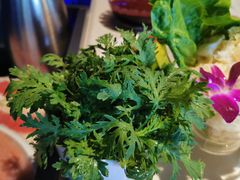 -川西坝子(老军营店)