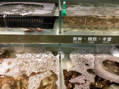 -世纪联华超市(凤起店)