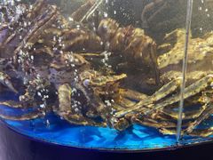 -蟹之国·精品蟹料理(极地店)