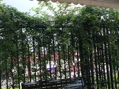 -紫颐香薰山谷景区