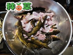 -石锅苗苗鱼(武汉首店)