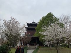 -堤角公园