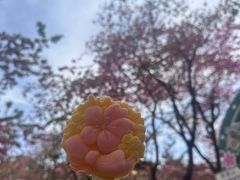 -昆明动物园